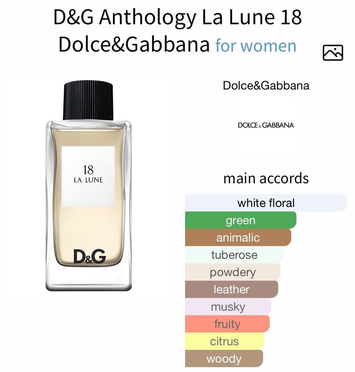 D&G Anthology La Lune 18 edt By Dolce & Gabbana 100ml (Discontinued) See Pix11